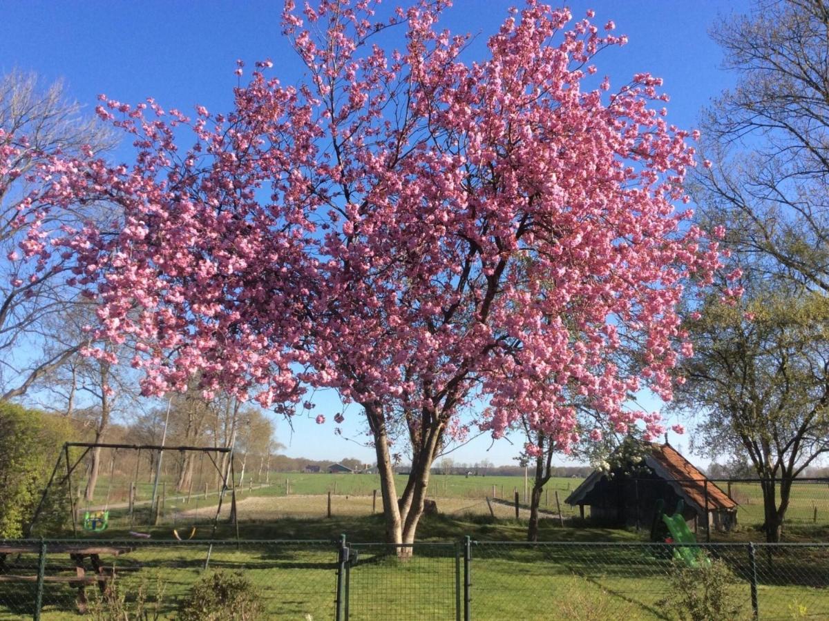 Fine Holiday Home In Donkerbroek מראה חיצוני תמונה